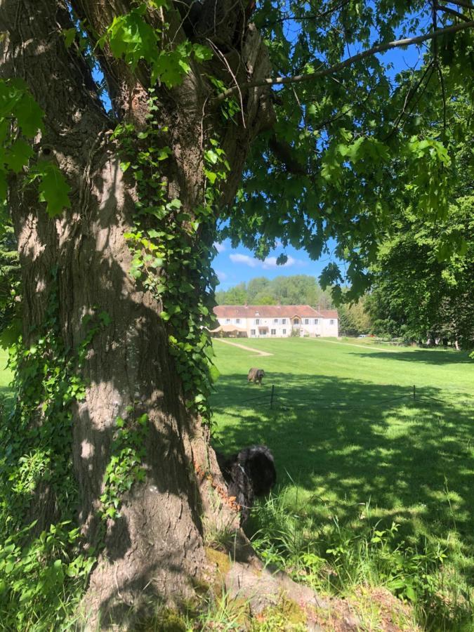 Le Plessis-LuzarchesDomaine Du Plessis住宿加早餐旅馆 外观 照片