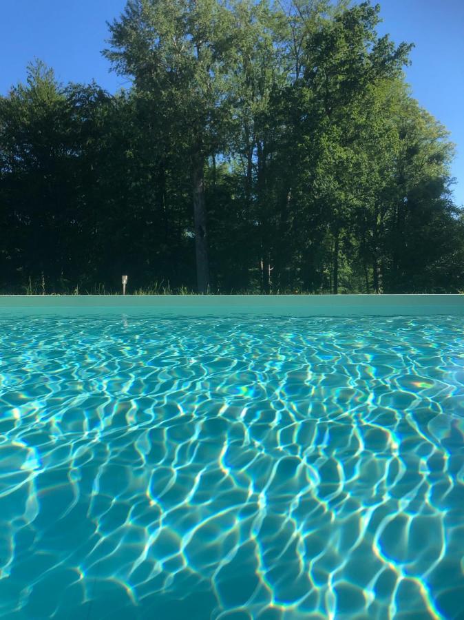 Le Plessis-LuzarchesDomaine Du Plessis住宿加早餐旅馆 外观 照片