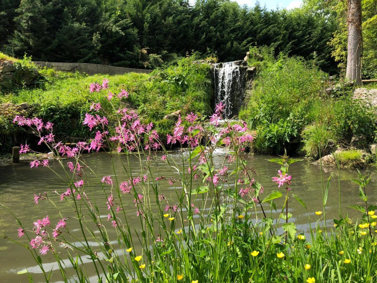 Le Plessis-LuzarchesDomaine Du Plessis住宿加早餐旅馆 外观 照片