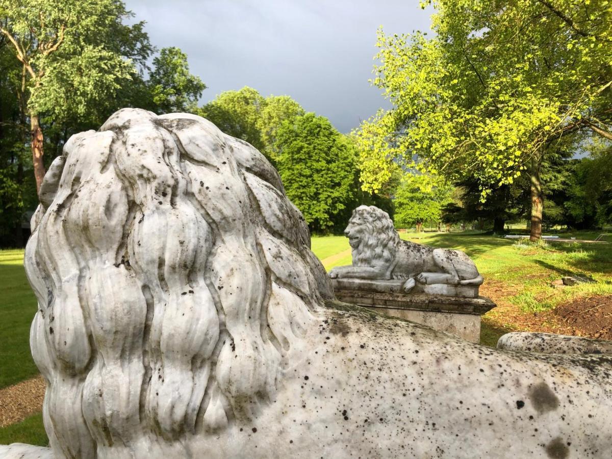 Le Plessis-LuzarchesDomaine Du Plessis住宿加早餐旅馆 外观 照片