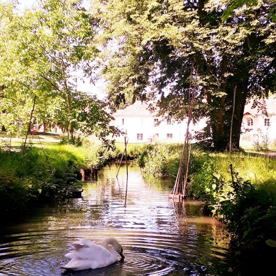 Le Plessis-LuzarchesDomaine Du Plessis住宿加早餐旅馆 外观 照片